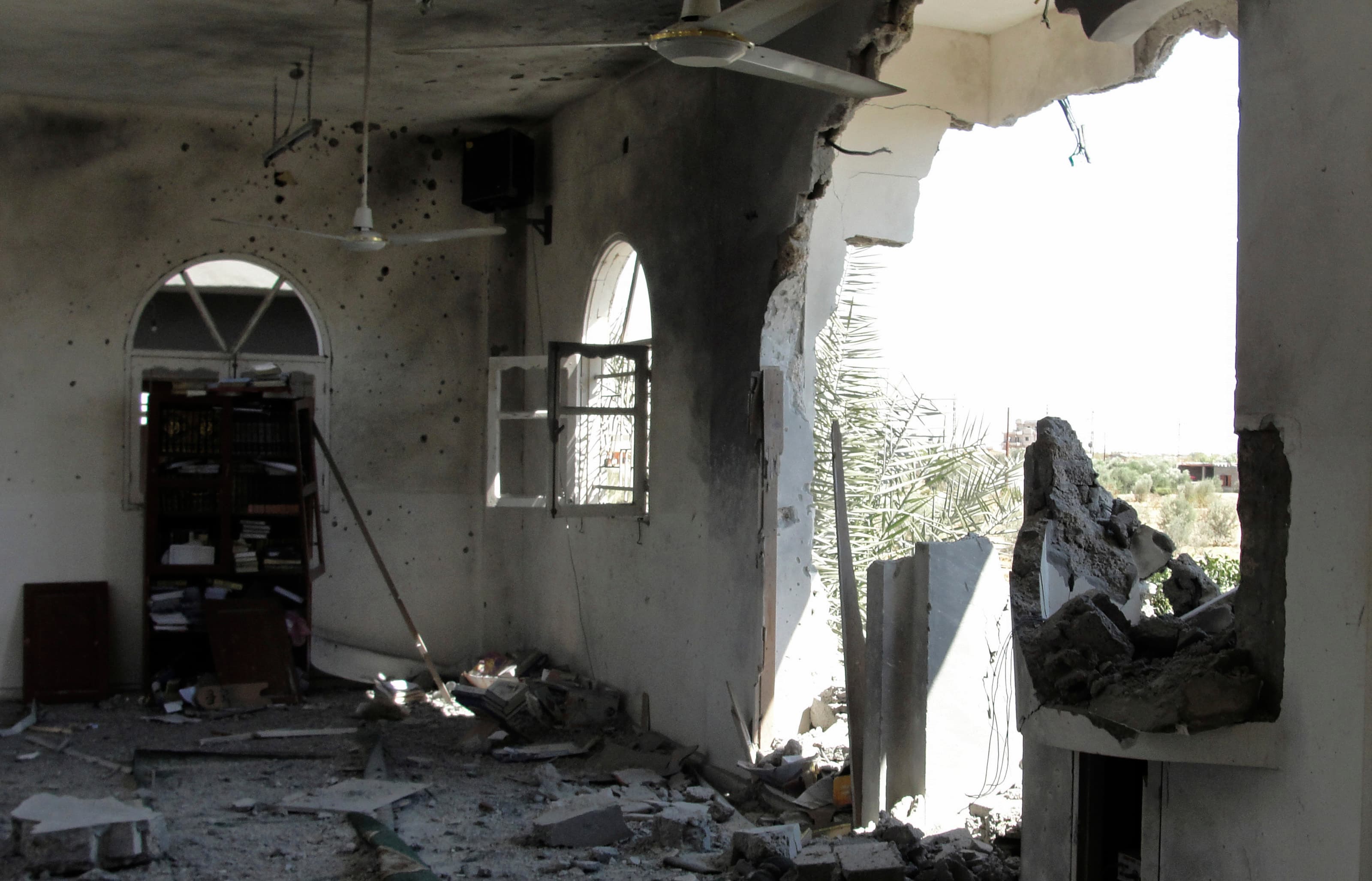 Egyptian Army's campaign in Sinai