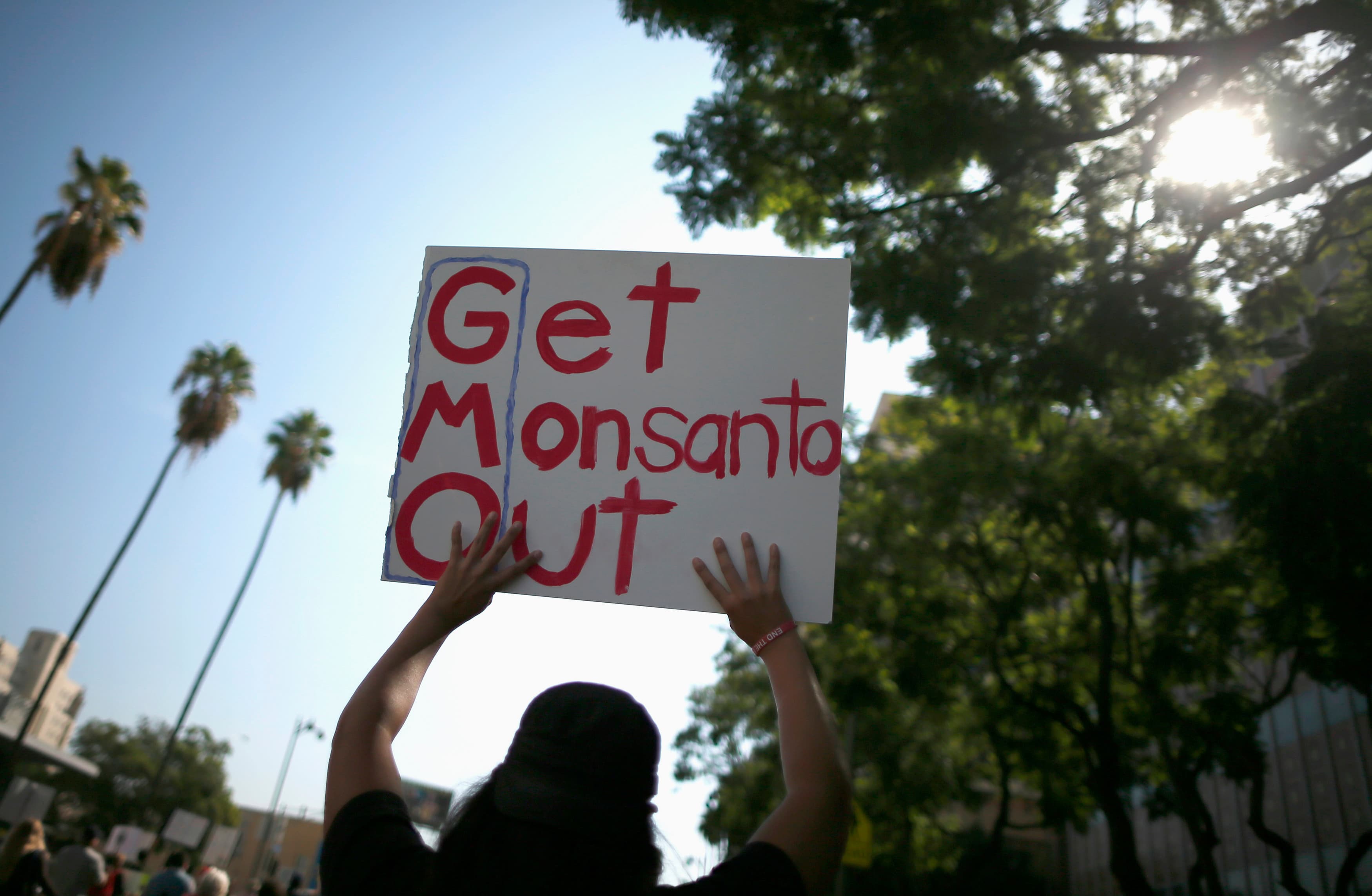 People hold signs during one of many worldwide "March Against Monsanto" protests against Genetically Modified Organisms (GMOs) and agro-chemicals, in Los Angeles on October 12, 2013.