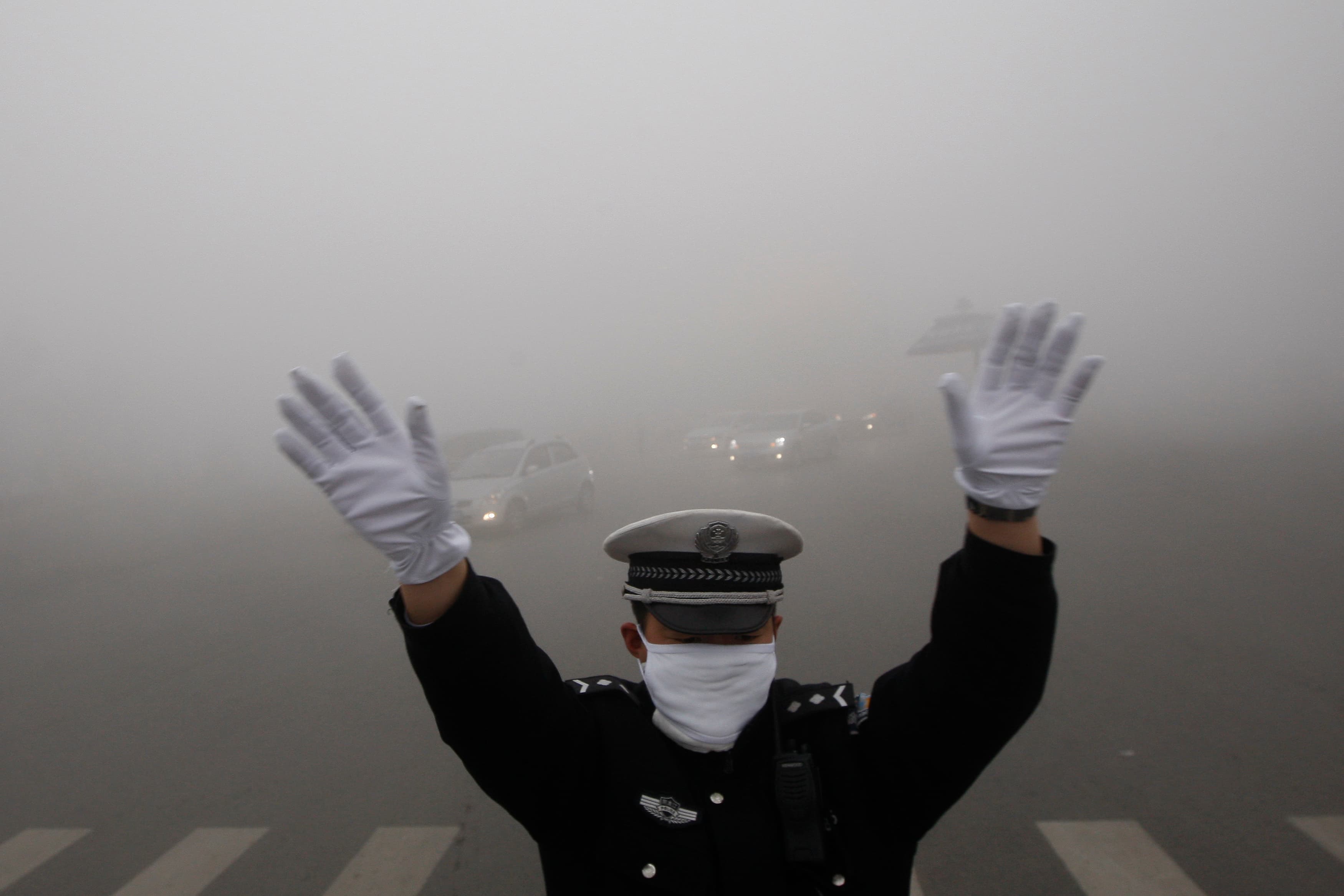 smog cop