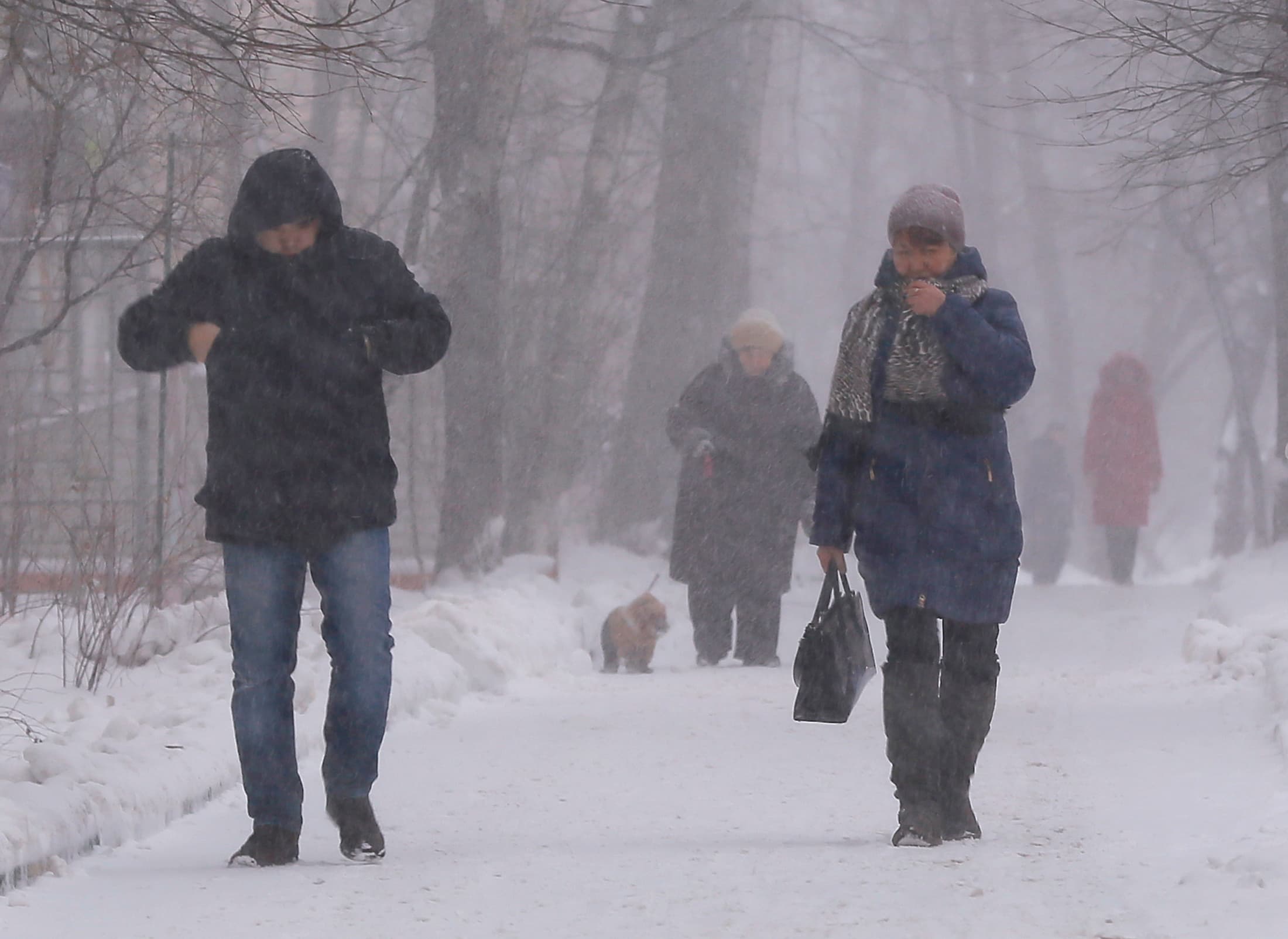 ​People walk in a park as it snows in Moscow, Russia, January 14, 2016.