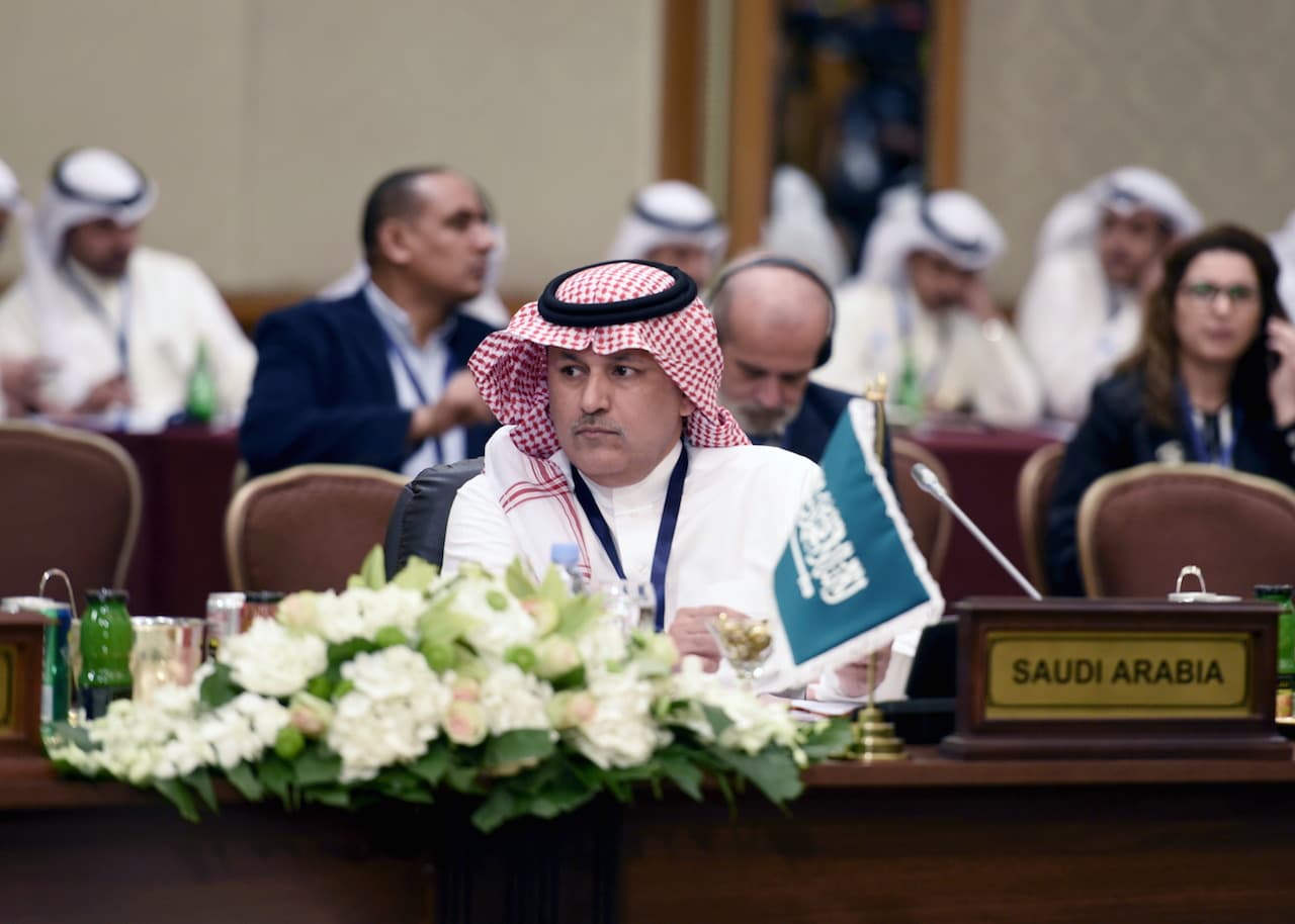 Saudi Arabia fight ISIS