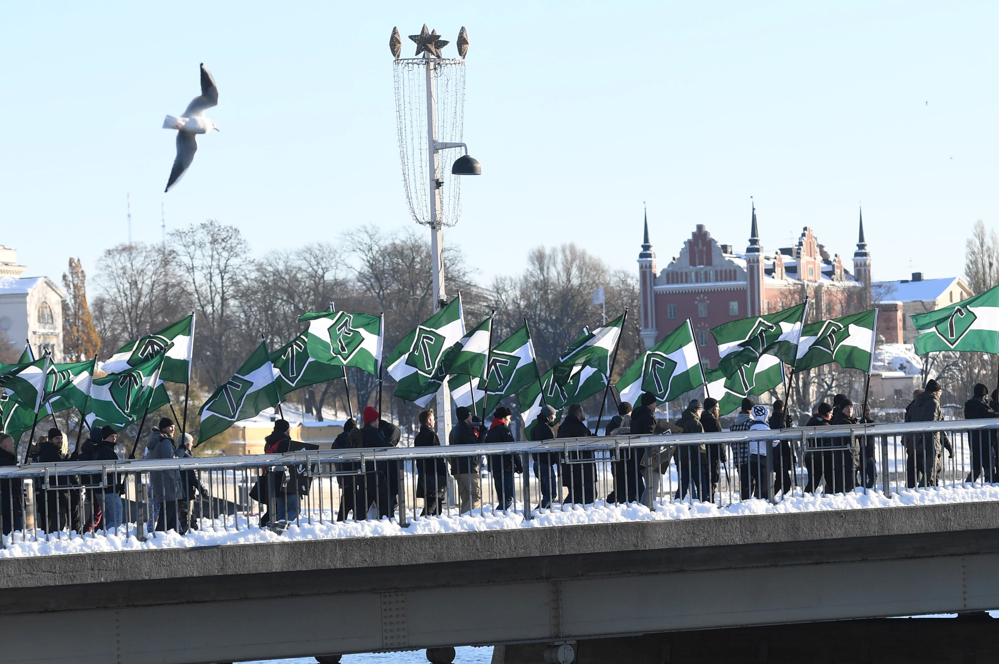The Nordic Resistance Movement (Nordiska motstandsrorelsens), a Nordic National Socialist organisation, demonstrates in central Stockholm November 12, 2016.