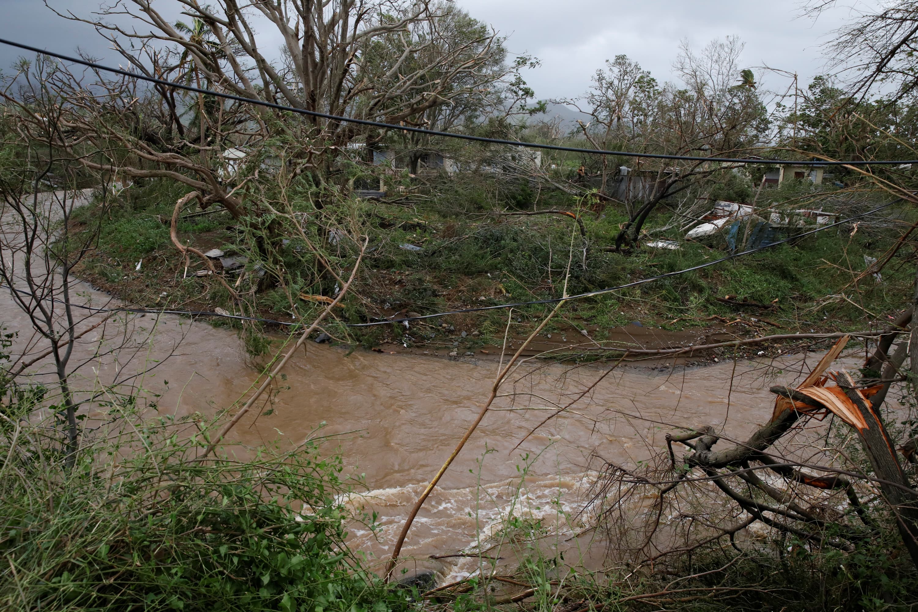 a river in Puerto Rico