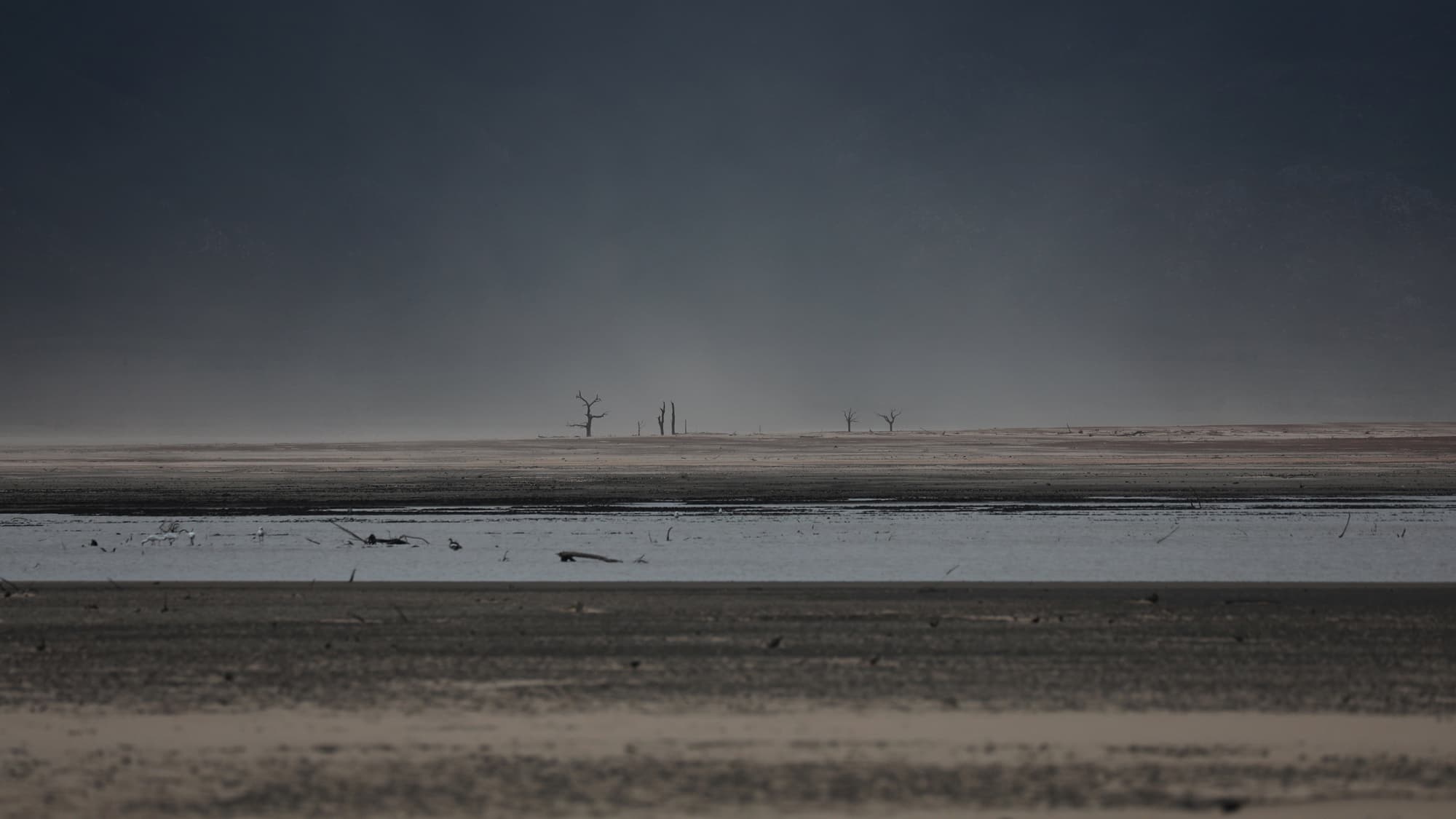Sand blows across a normally submerged area at Theewaterskloof dam near Cape Town, South Africa, January 20, 2018.