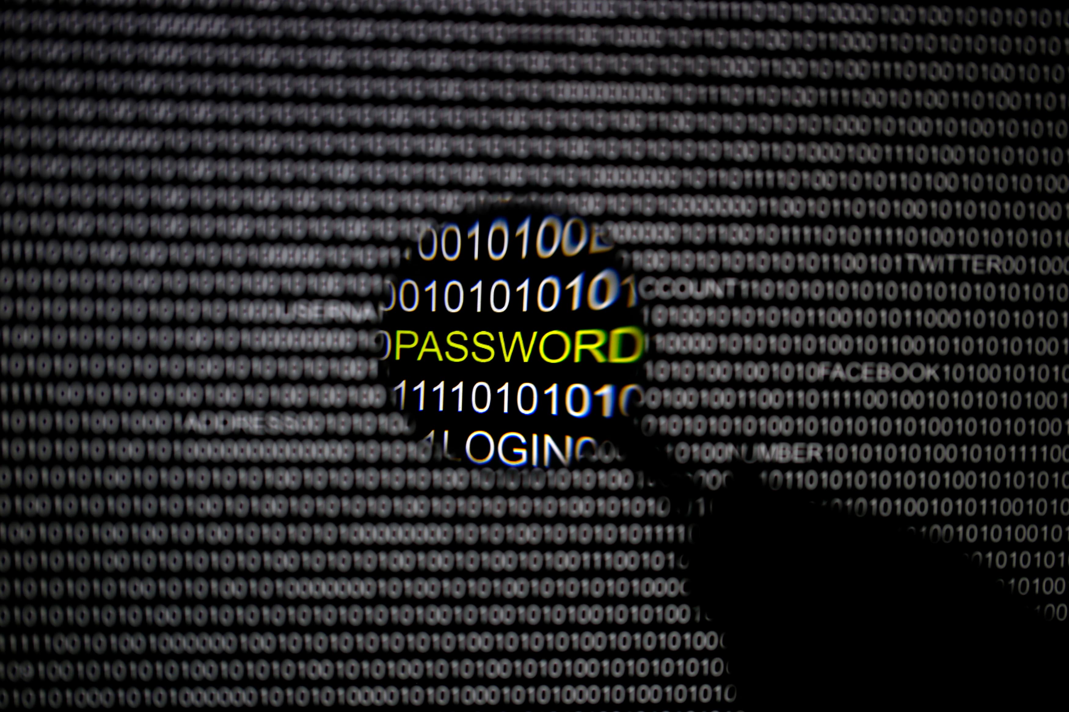 A magnifying glass is held in front of a computer screen in this picture illustration. A Russian gang has stolen private information from 1.2 billion internet users around the globe in a new story published by The New York Times on August, 5, 2014.