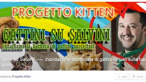 Organizers initiated the feline festivities with -- what else -- a Facebook event.