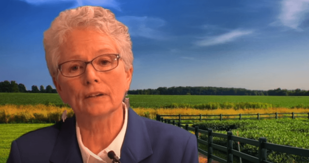 Ann Corcoran speaks in the YouTube video she recorded for The Center for Security Policy, a controveral far right think tank founded by Frank Gaffney.