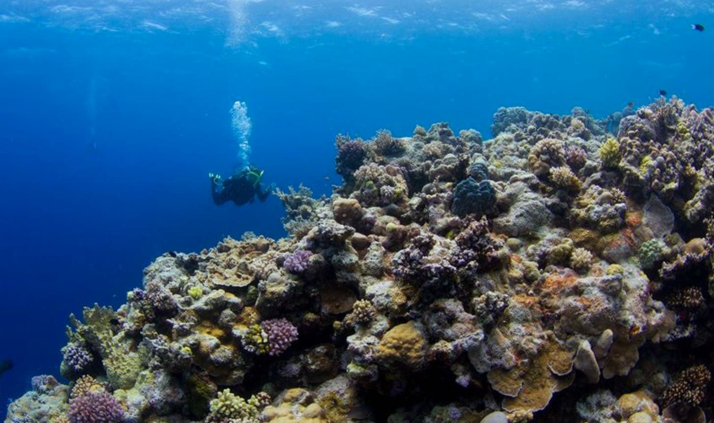 Great Barrier Reef