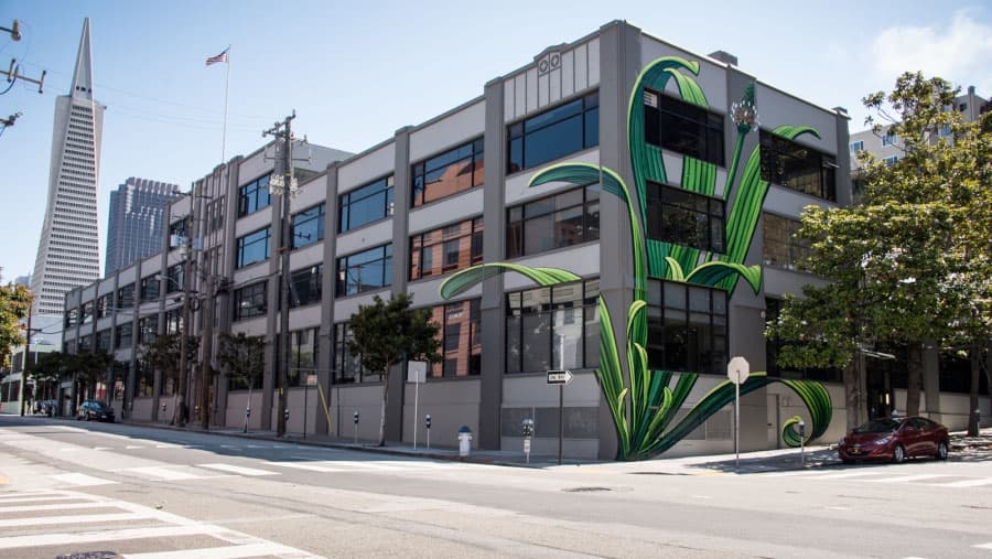 Mural artist Mona Caron uses city walls all over the world as canvases for her magnified portraits of wild plants.