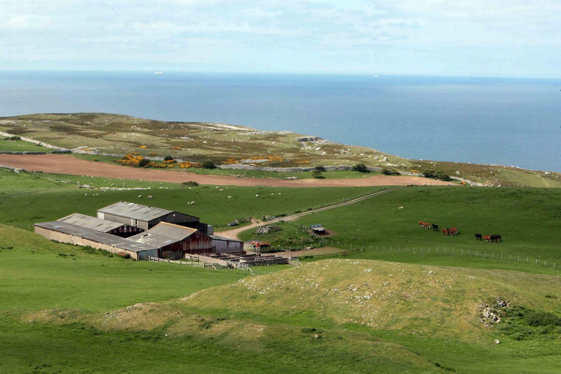 Britain's National Trust will rent out its Parc Farm on the Great Orme to a young farmer.