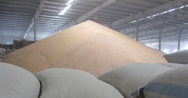 A mountain of grain in a Chinese warehouse. China is importing more of its supply of thirsty and land-intensive crops like corn and soy, often from leased or purchased land that guarantees a supply outside of the regular international market.