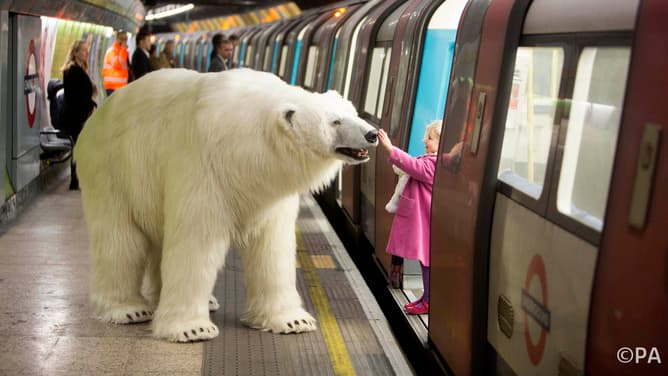 The basic problem facing endangered species? Too many humans.