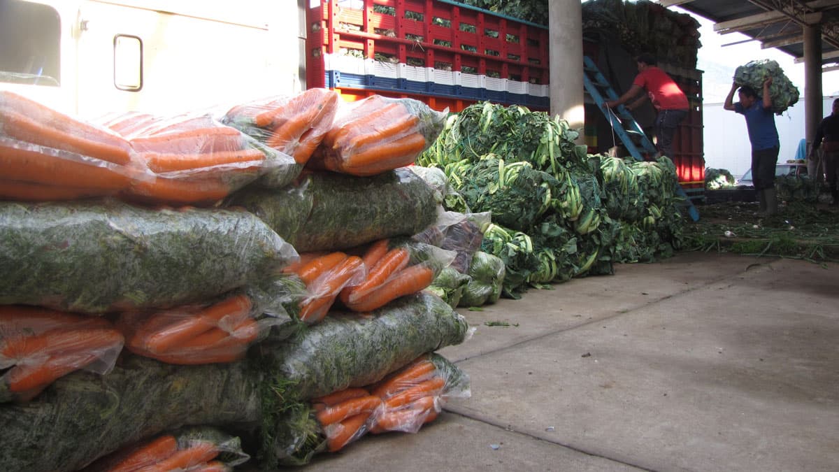 Workers at a loading dock in Almolonga fill trucks with produce destined for El Salvador.