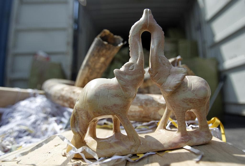 Ivory carvings and seized elephant tusks at a Malaysian customs office in Port Klang, Dec. 13, 2011.