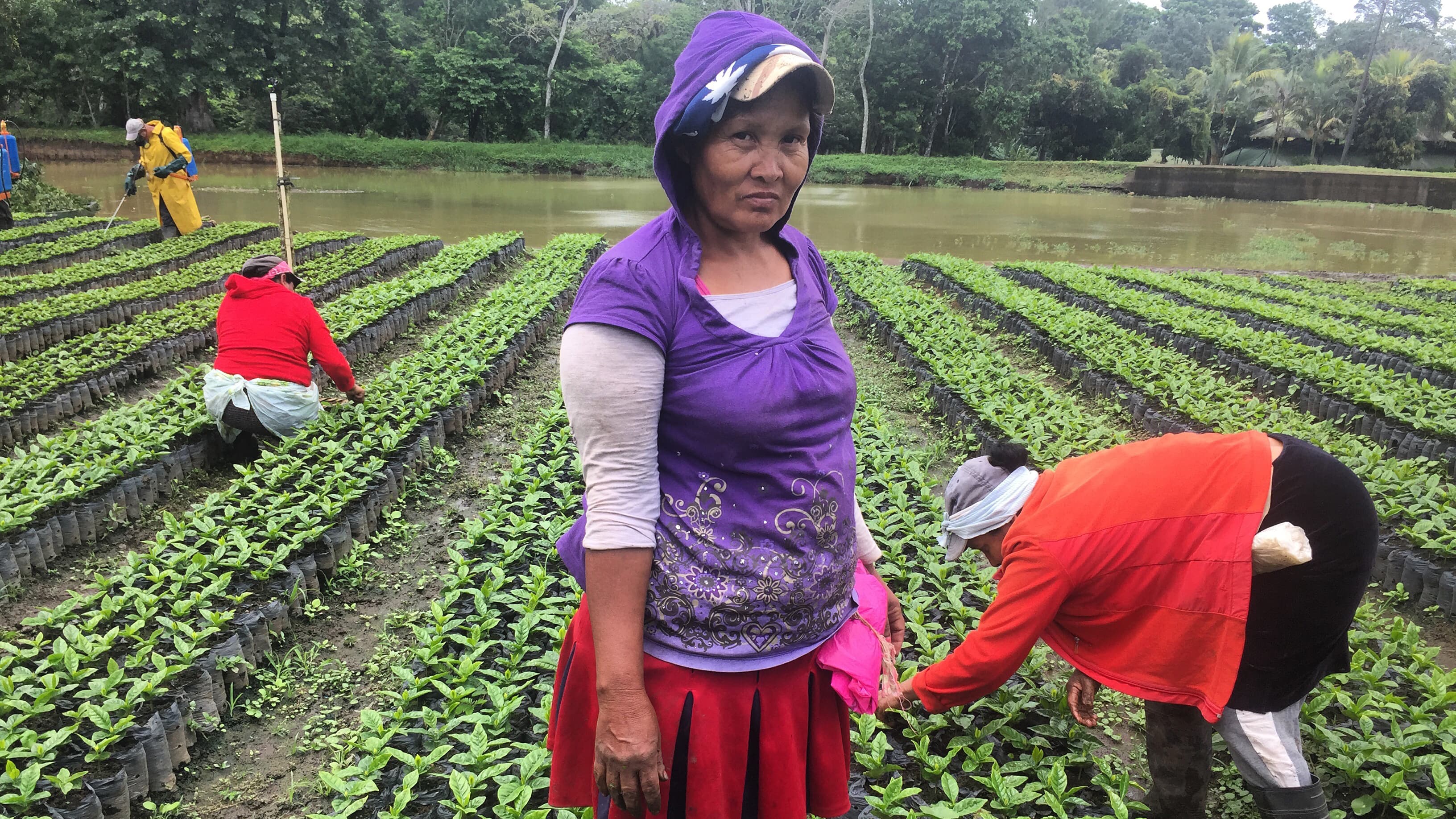 Maritza Blandón, a coffee grower in the mountains of Nicaragua, got her first pap smear at the age of 47. She tested posted for HPV and get treatment. Blandón is a single mother. If she died of cervical cancer, no one would be here to take care of her eig