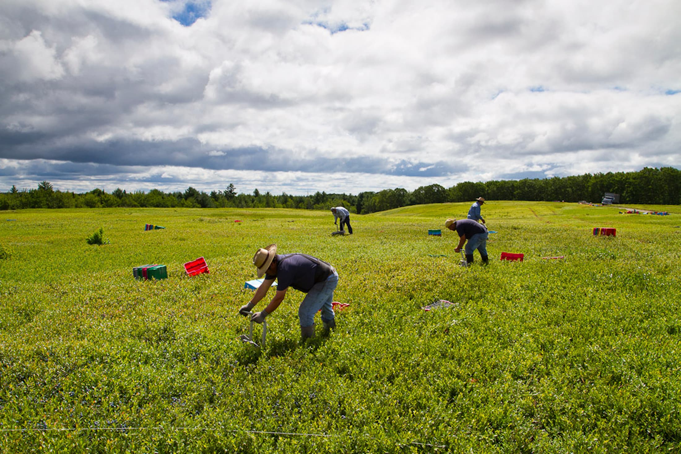 Migrant farm workers