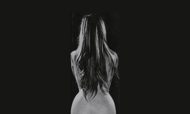 Image from the cover of “Naked Came the Stranger”