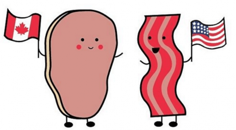 Maple Match dating app connects Canadians and Americans.