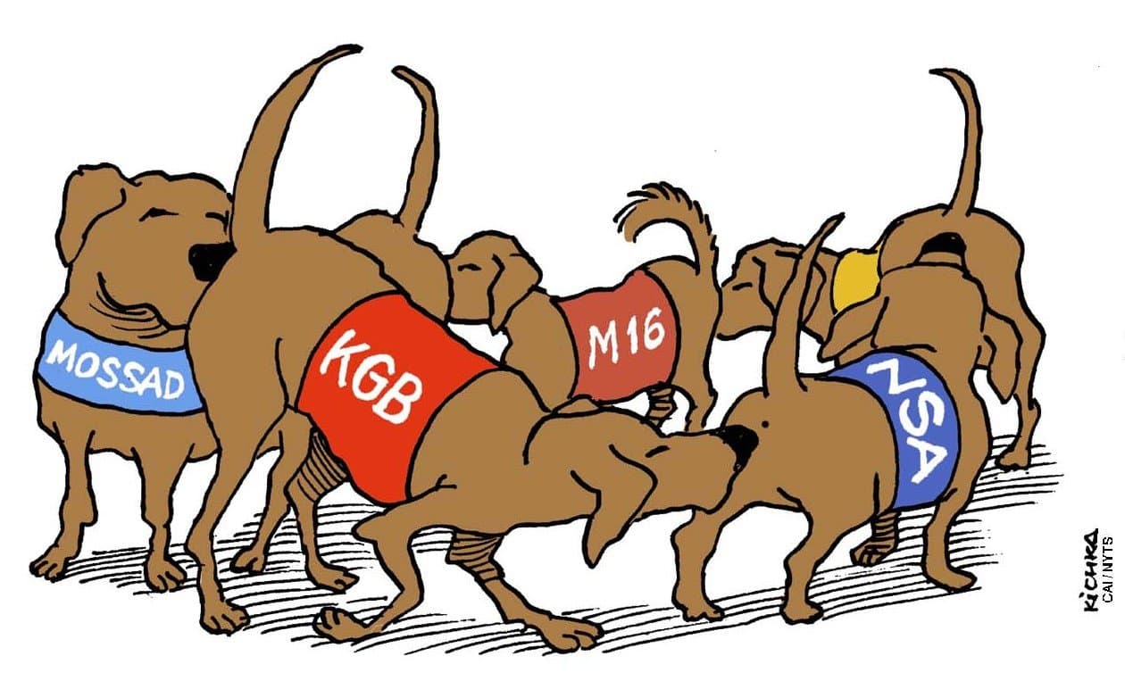 Cartoon about national security