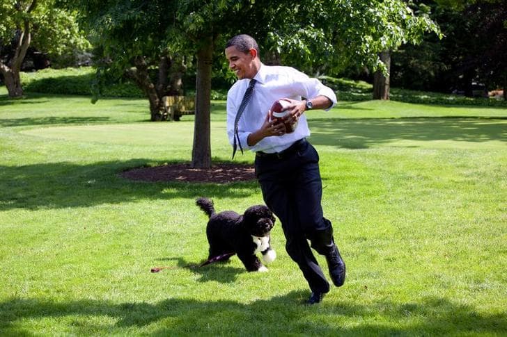 President Barack Obama runs on green grass, holding a football in his hands, as the family dog Bo chases close behind on May 12, 2009.