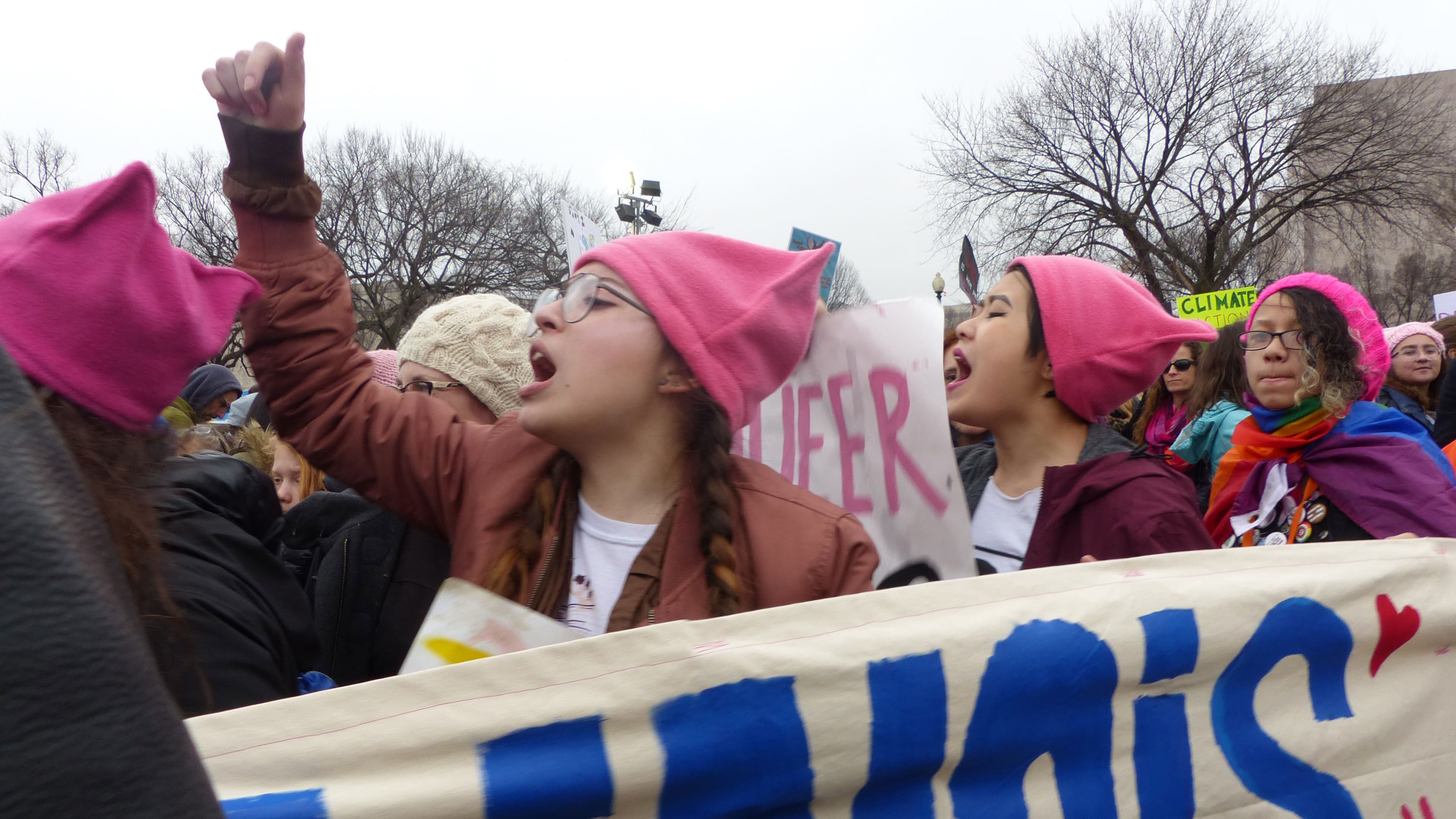 Marchers in DC