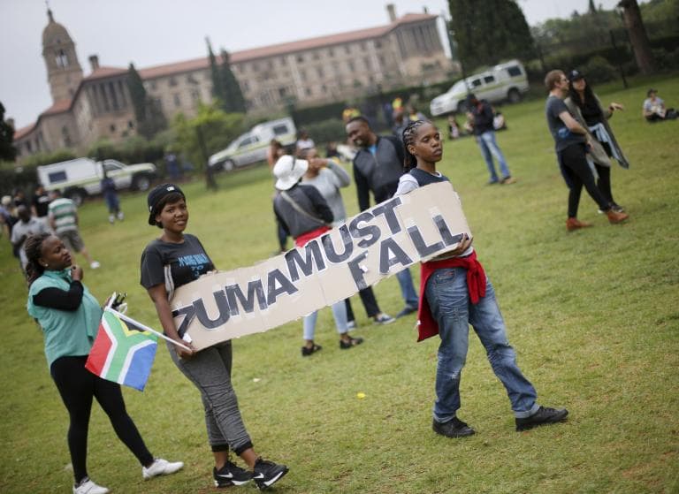 Protesters carry placards as they take part in a 'Zuma must fall' demonstration in Pretoria, South Africa December 16, 2015.