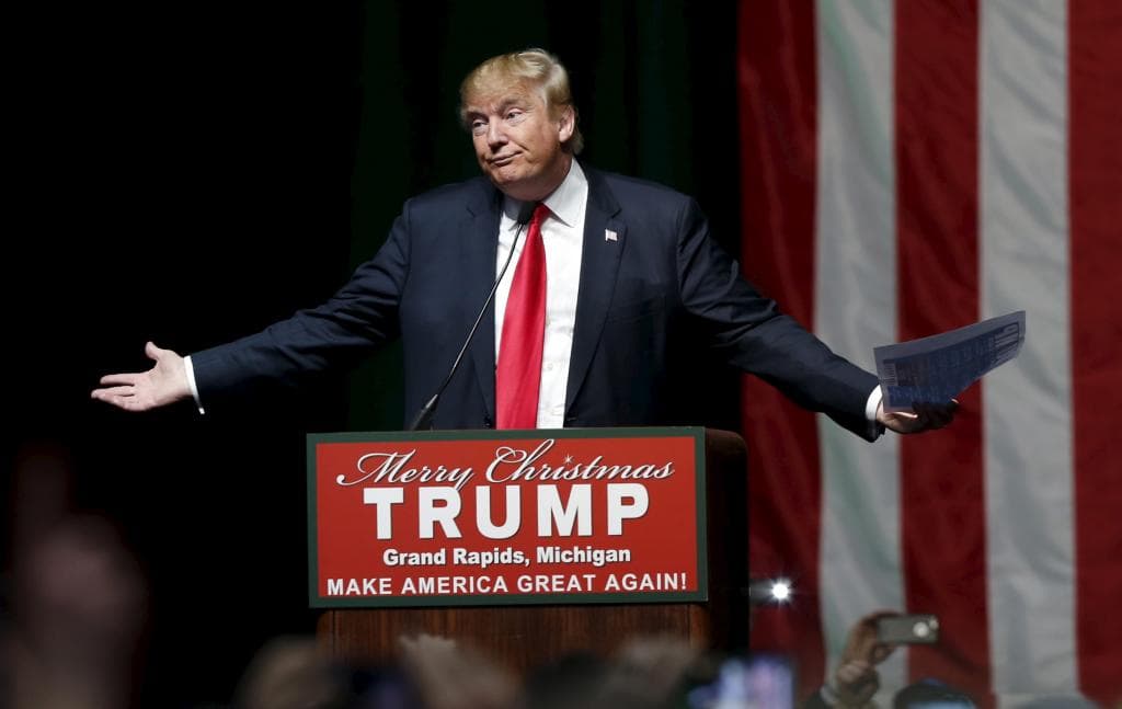 Republican presidential candidate Donald Trump addresses the crowd during a campaign rally in Grand Rapids, Michigan on Dec. 21, 2015.