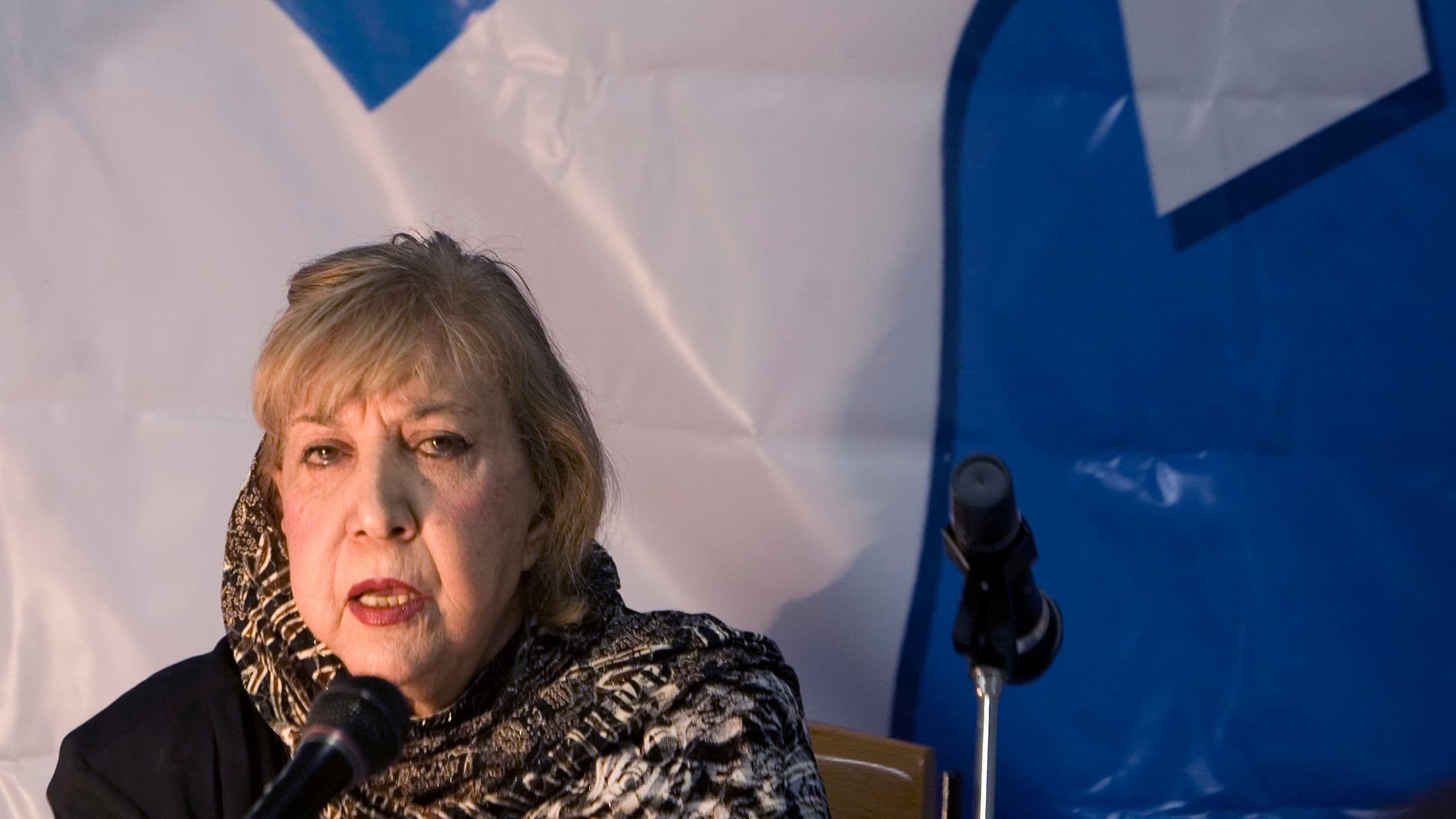Iranian poet Simin Behbahani speaks at the "Yes to peace, No to war" conference in Tehran on November 19, 2007.