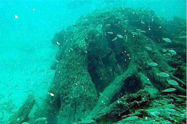 Underwater cypress stump