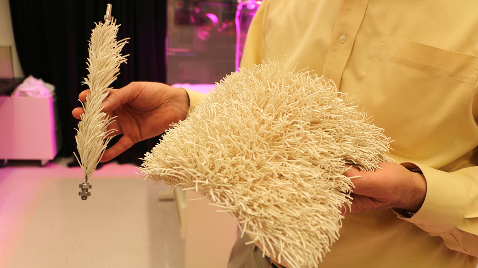 Trees and other green plants are nature's tools for sucking CO2 out of the air, but scientists say there aren't nearly enough trees to remove all the waste gas we've put into the atmosphere. So some are trying to create new devices that work like trees —