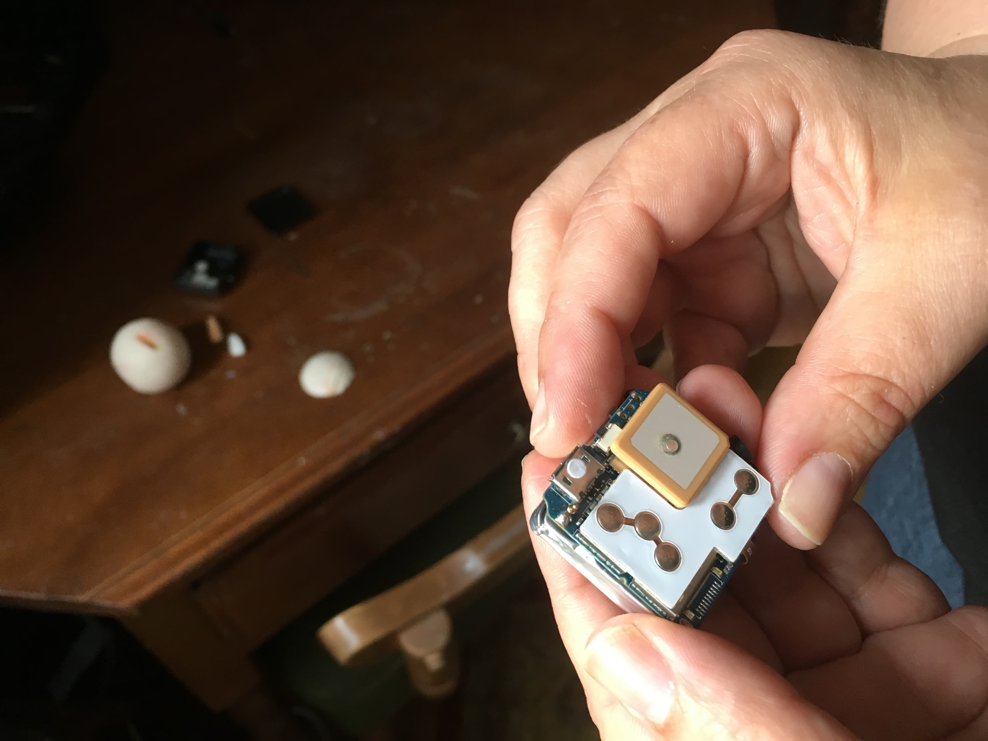 Williams-Guillen gets ready to put a GPS tracker in one of her fake turtle eggs.