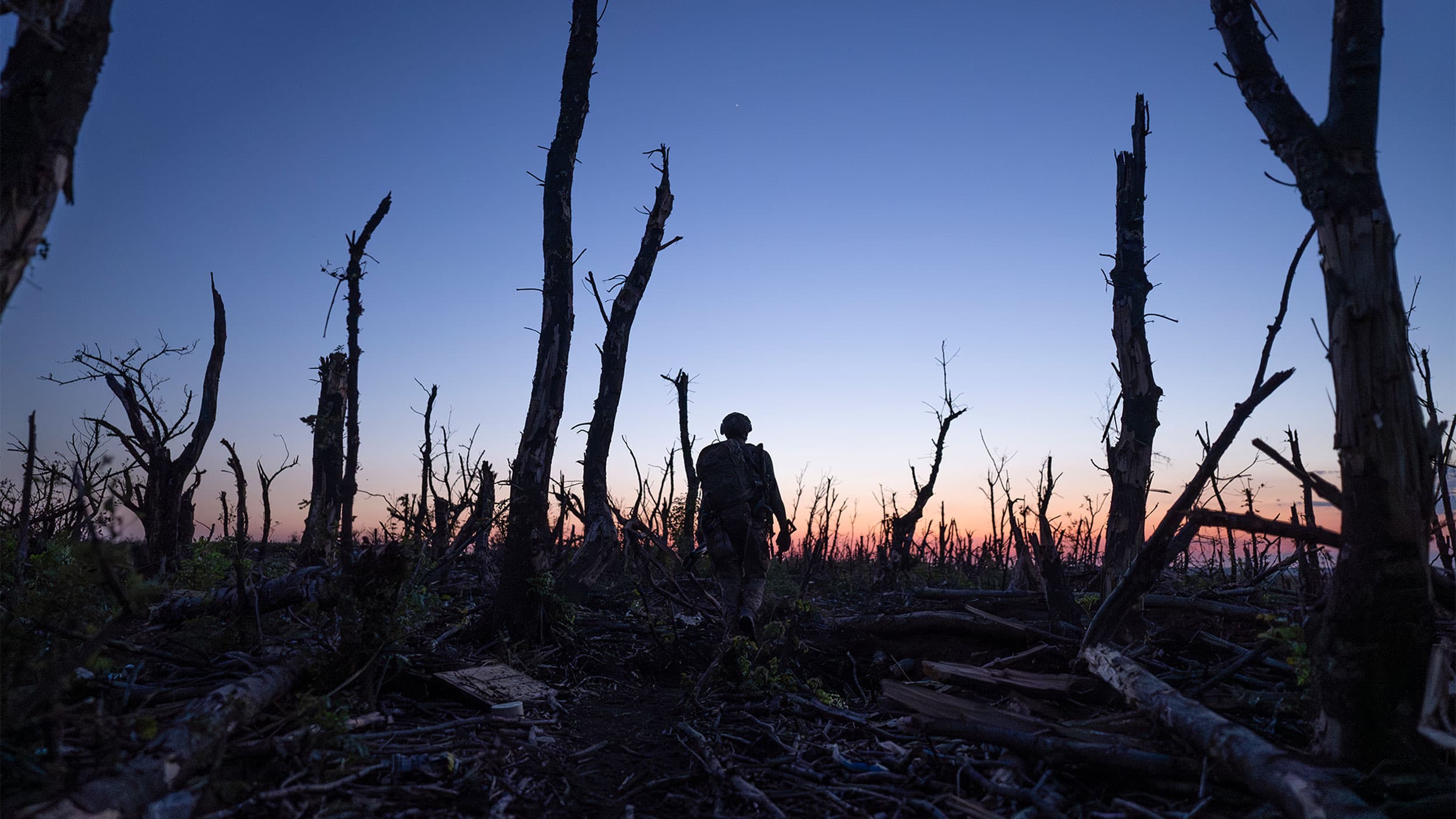 A person walking through a barren, war-torn forest at dusk, with silhouetted trees against a gradient sunset sky.