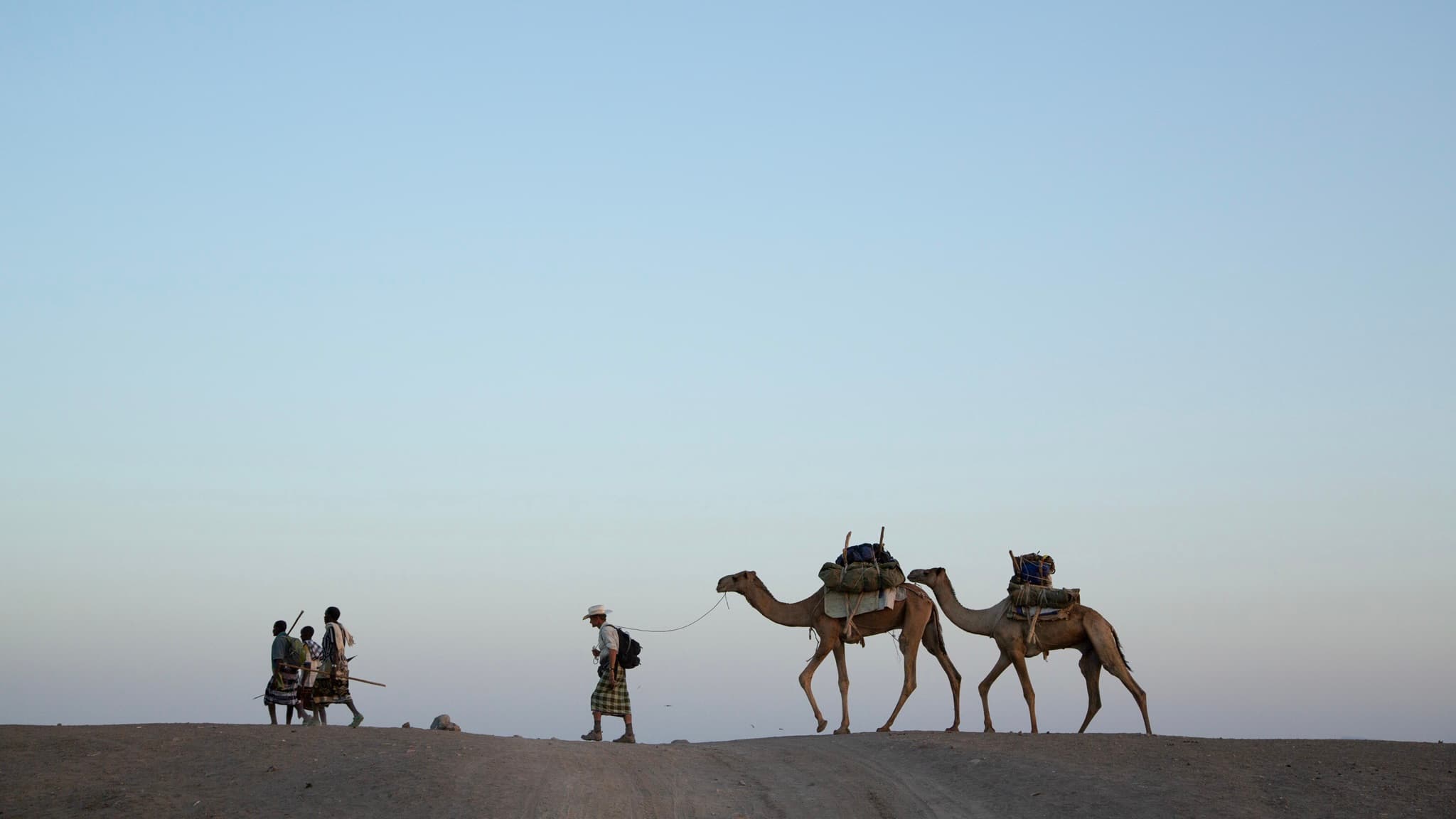 A person leads two camels laden with goods across a desert, with a clear sky in the background.