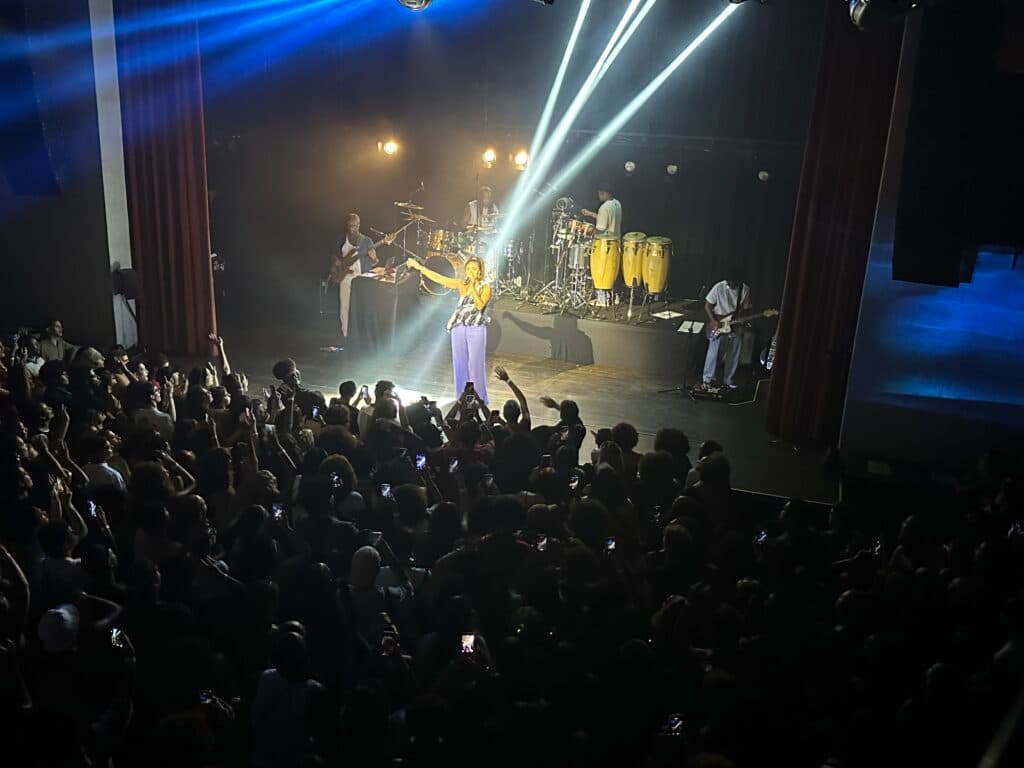 A singer performs energetically on stage, illuminated by spotlights, while a lively audience watches.