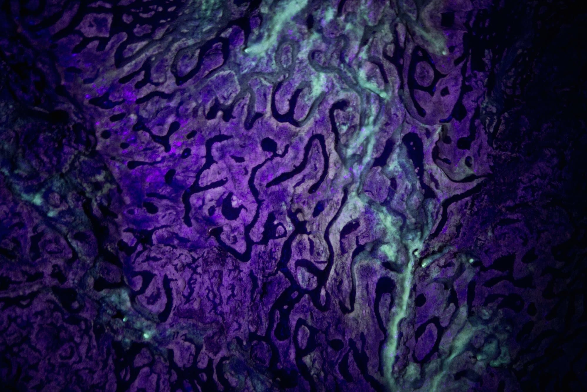 Biovermiculations in Italy's Frasassi cave system