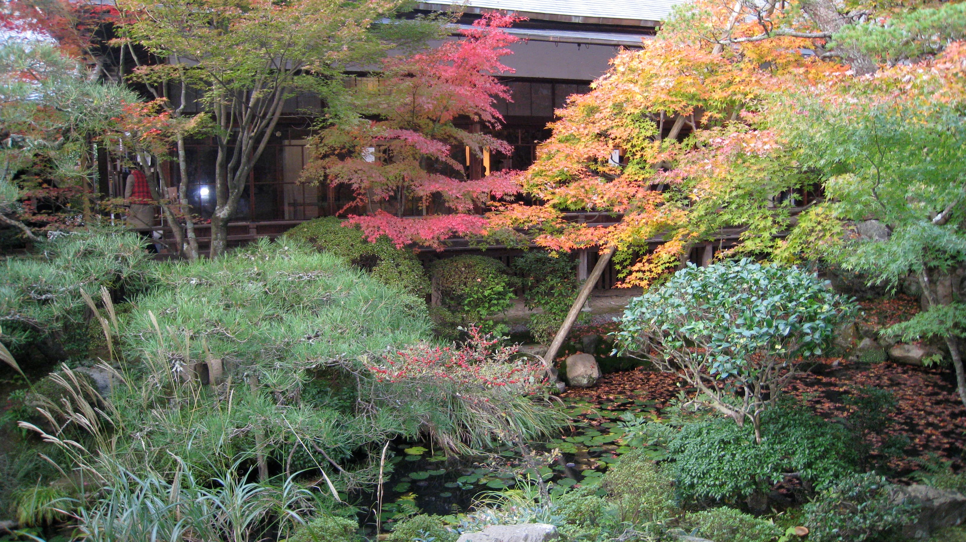 the interior gardens are ringed by a little ledge, on which you can sit and gaze...