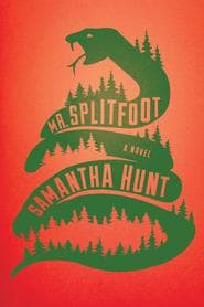 'Mr. Splitfoot' by Samantha Hunt