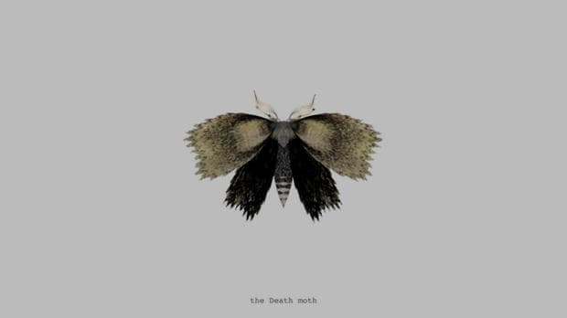 The Death Moth