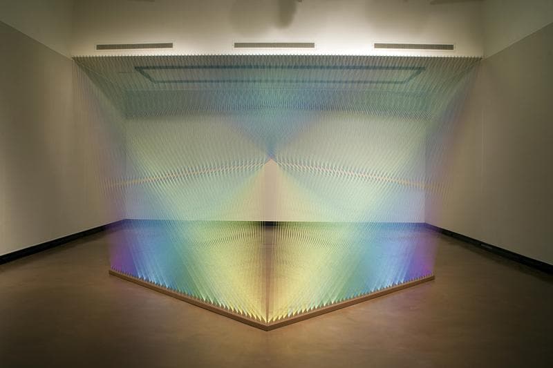 'Plexus no. 12', 2012, Site specific installation at MWSU, Wichita Falls, TX