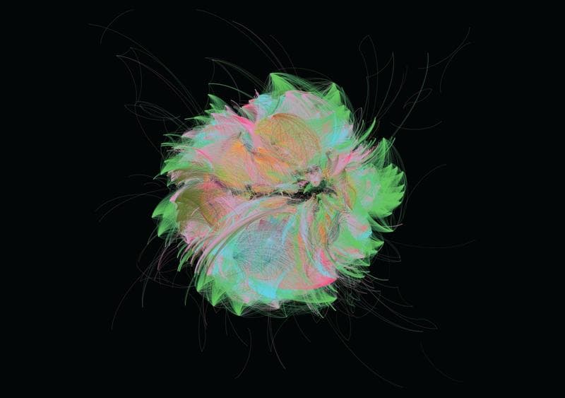 LaPointe's microbiome selfies look a bit like international flights