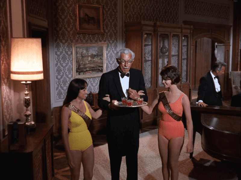 MISS URBAN RENEWAL and MISS SAVE OUR WILDLIFE