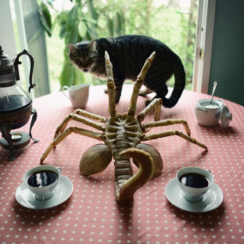 An  em Alien /em -inspired 'facehugger' made from pie pastry