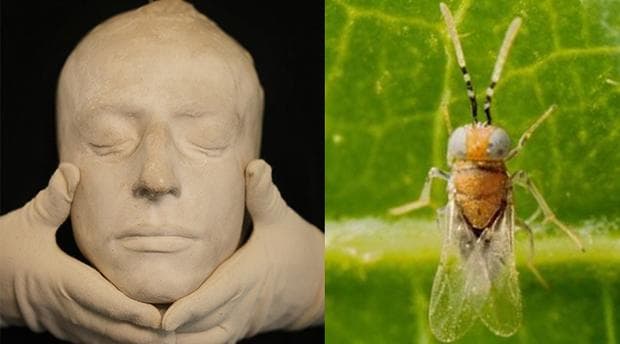 John Keats = Keatsia Girault