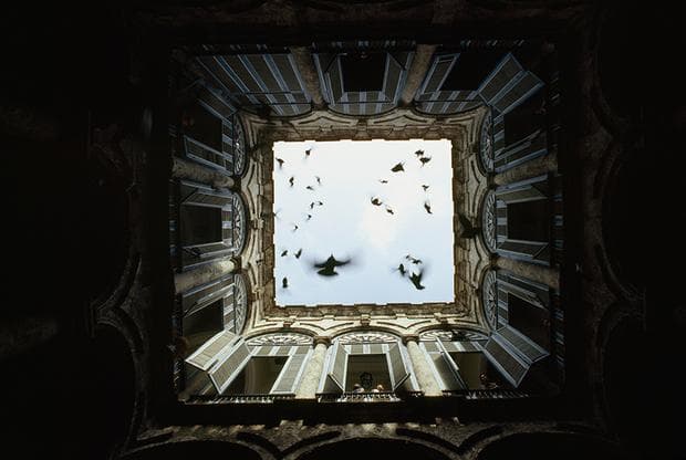 A flock of birds fly up from an enclosed courtyard in Old Havana, December 1987.