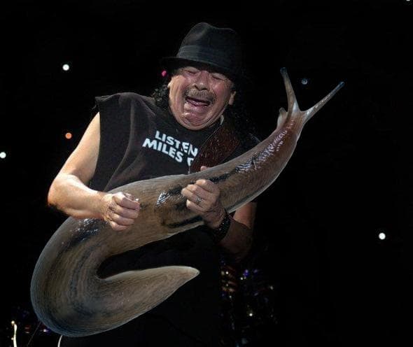 Slug Solos Santana 
