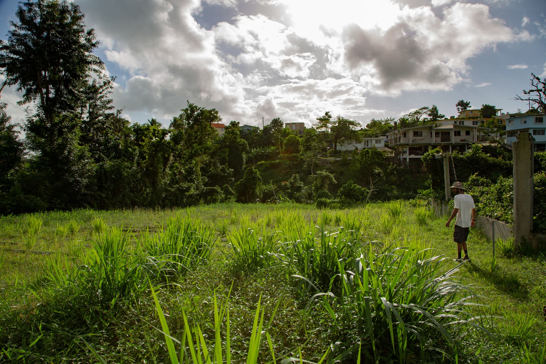 Franco Marcano is shown in a hat and shorts walking along of a small field he is farming.