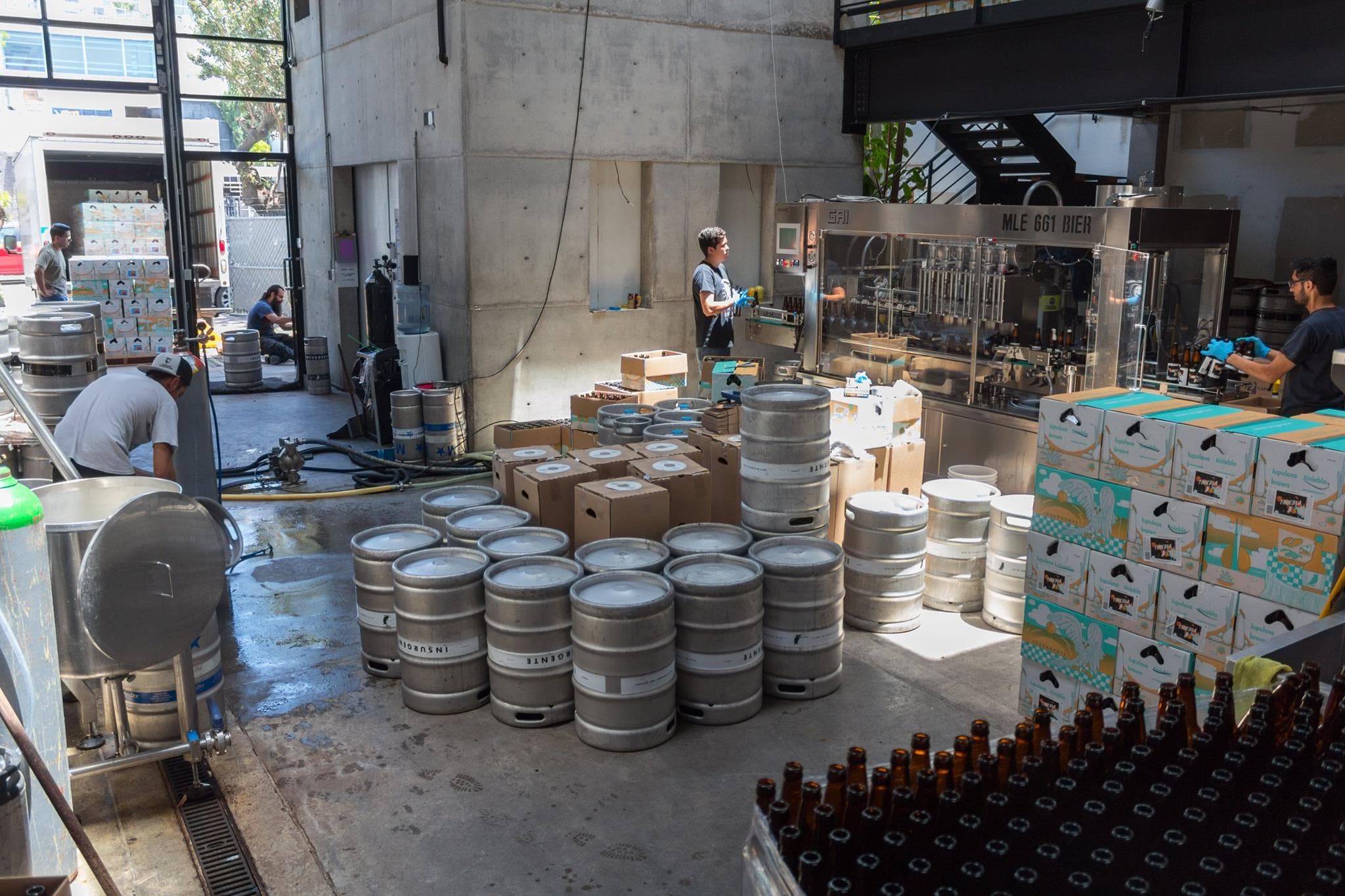 cervezeria insurgente