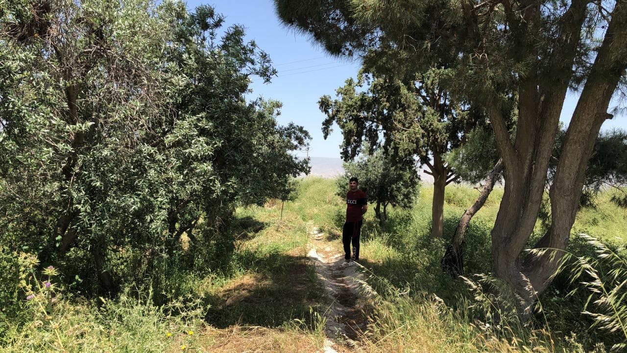 A man stands on a path surrounded by green shrubbery.