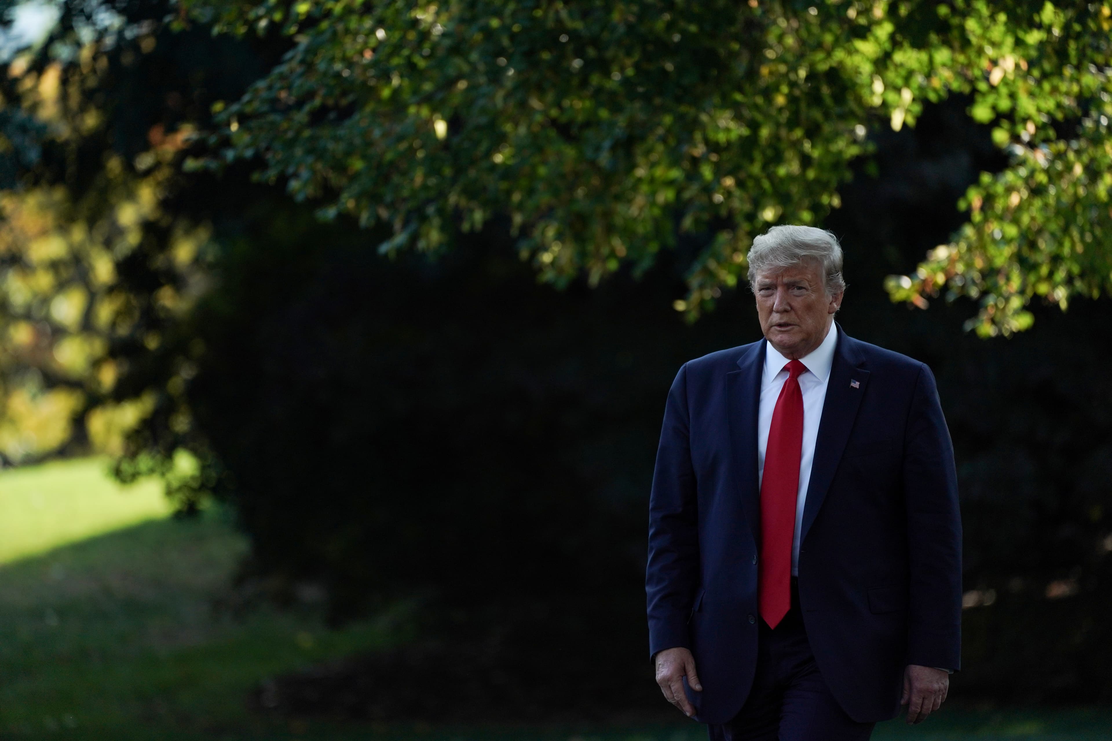 A man in shadow near greenery