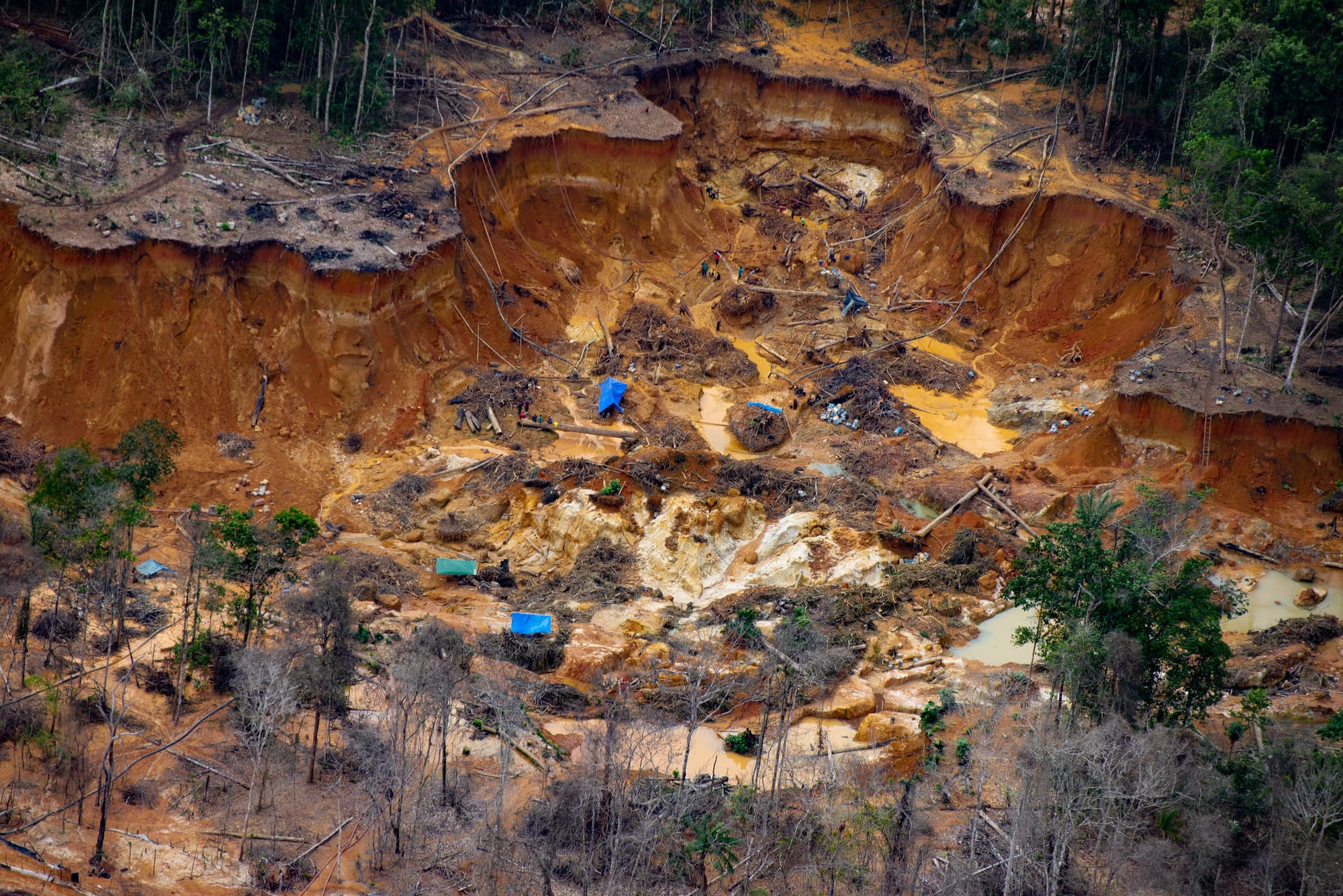 An illegal mining site in the Uraricoera River area of Yanomami land.